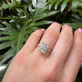 Radiant Cut Solitaire Pavé | Hidden Halo