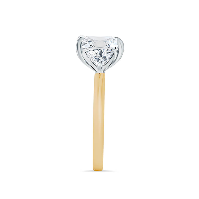 Princess Cut Lab Diamond Engagement ring | Trilliant Side Stones